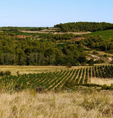 Baron de Badassière