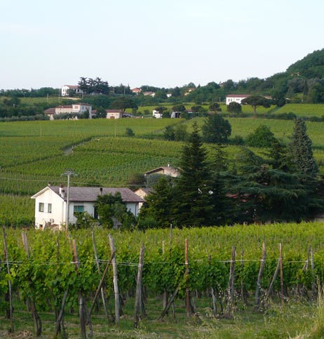 Cantina Colli Euganei