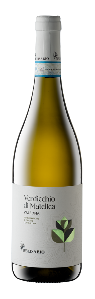 Cantine Belisario, `Terre di Valbona` Verdicchio di Matelica