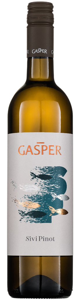 Gašper, Pinot Grigio