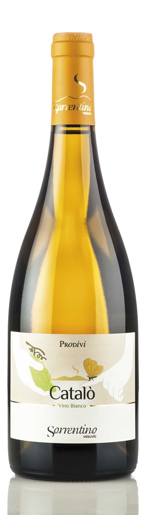 Sorrentino, `Catalò` Catalanesca