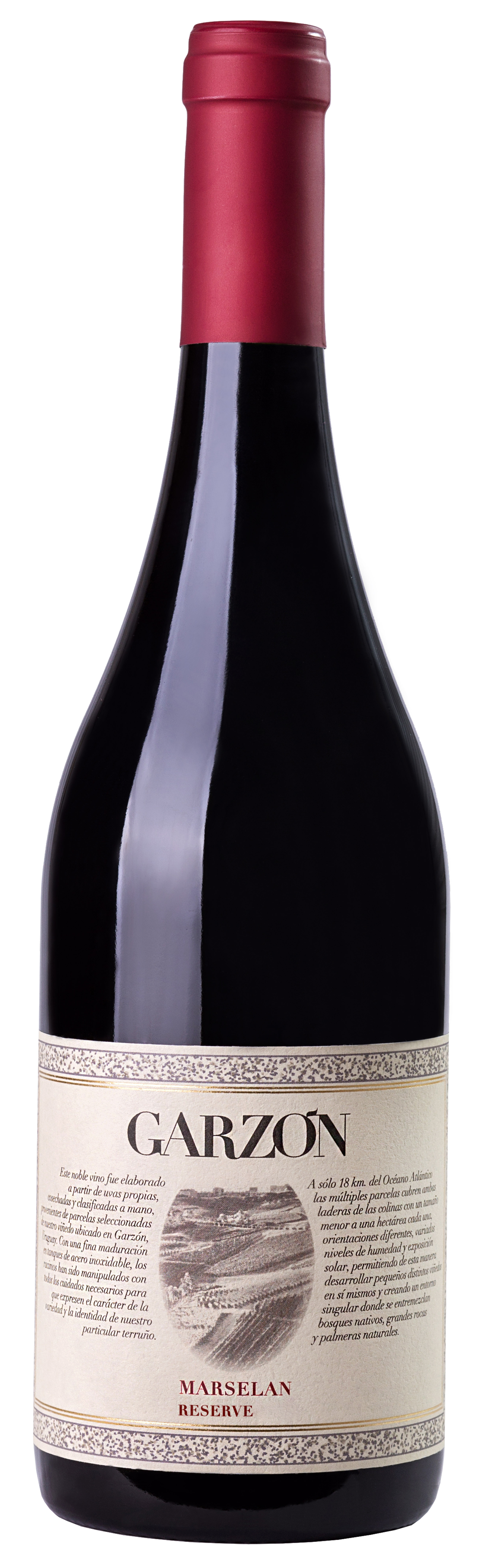 Bodega Garzón Reserve, Marselan