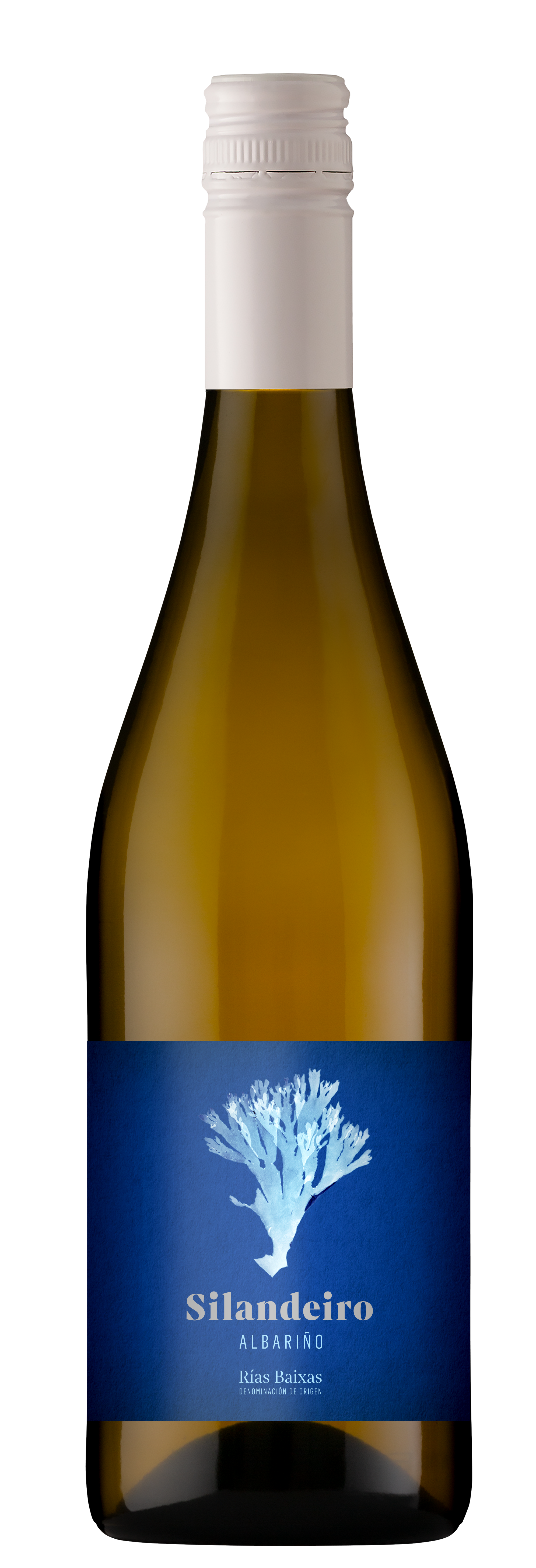 Bodegas Gallegas, `Silandeiro` Sobre Lías Rías Baixas Albariño