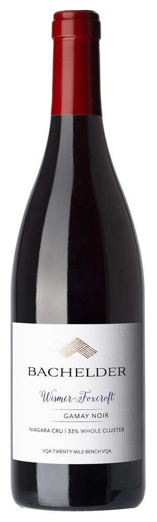Bachelder, `Wismer-Foxcroft` Gamay
