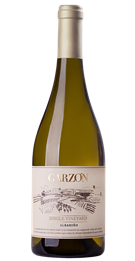 bodega garzon single vineyard albarino 2021)