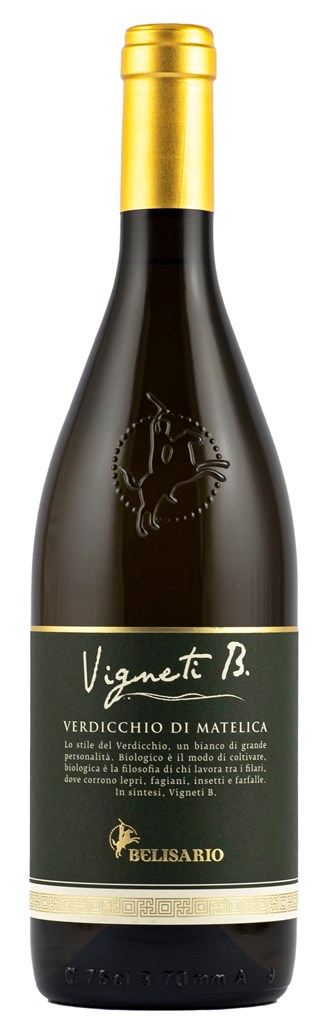 Cantine Belisario, `Vigneti B` Verdicchio di Matelica