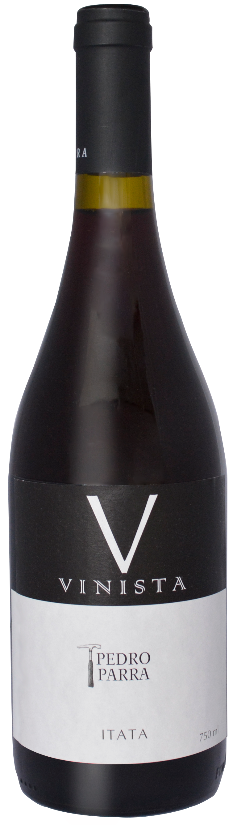 Pedro Parra, `Vinista` Itata Valley País