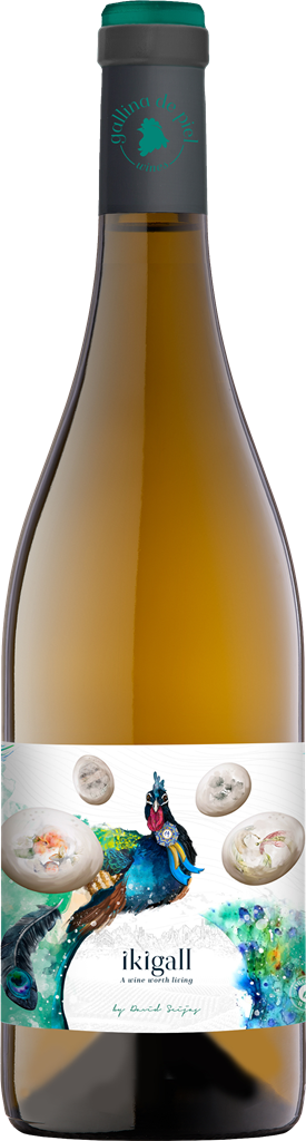 Gallina de Piel, `Ikigall` Penedès Xarel-lo/Malvasia/Muscat