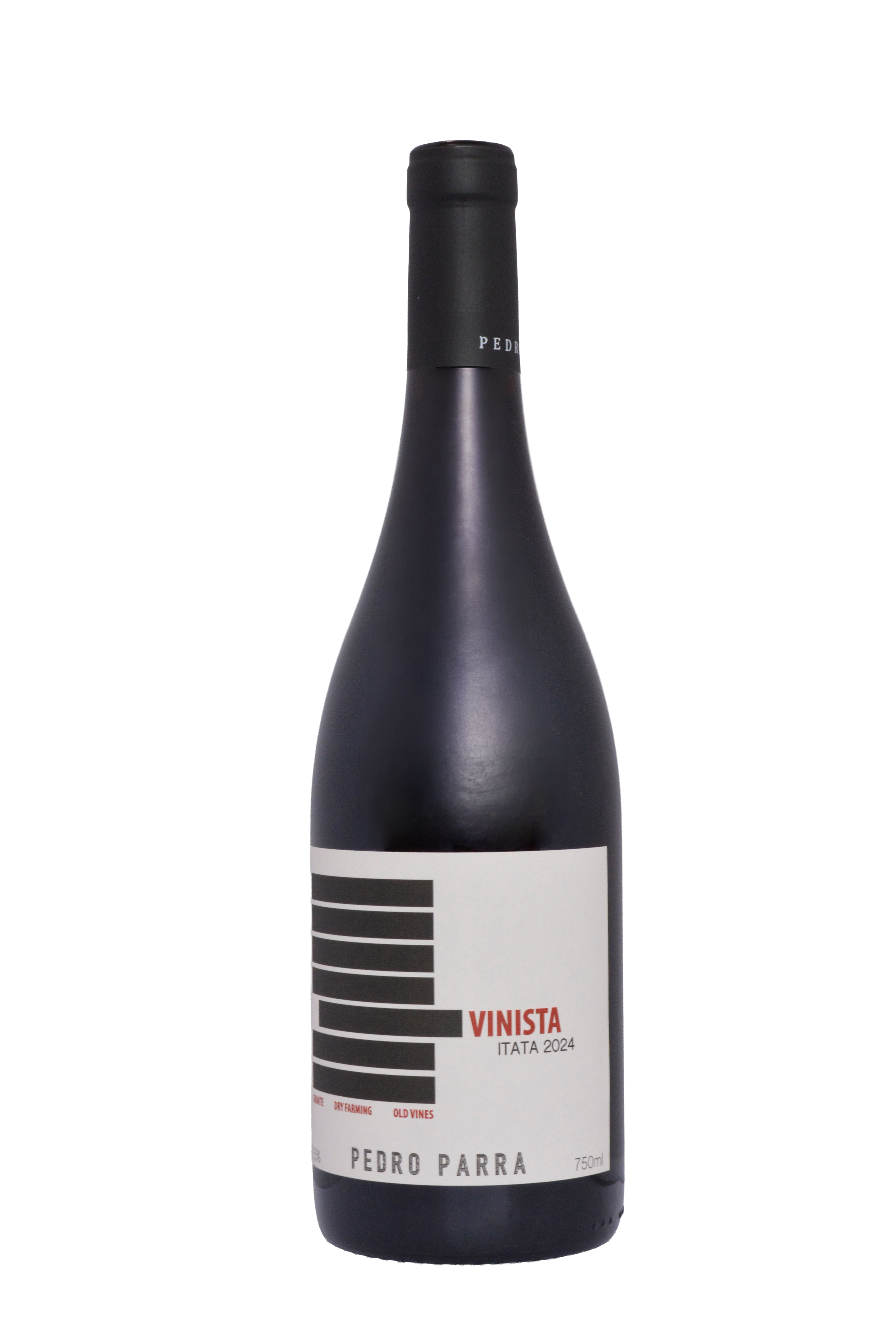 Pedro Parra, `Vinista` Itata Valley País