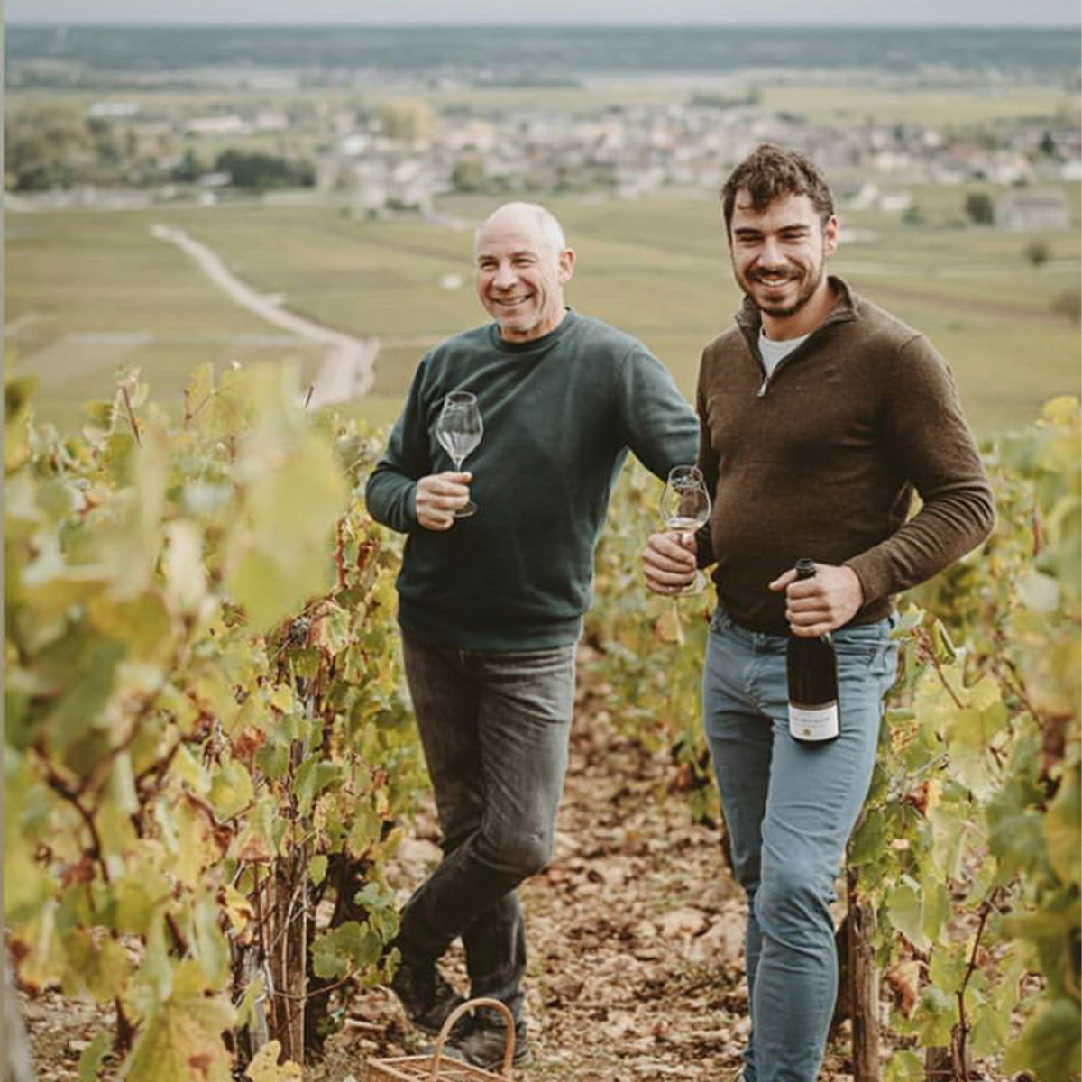 Domaine Alain Chavy - Liberty Wines