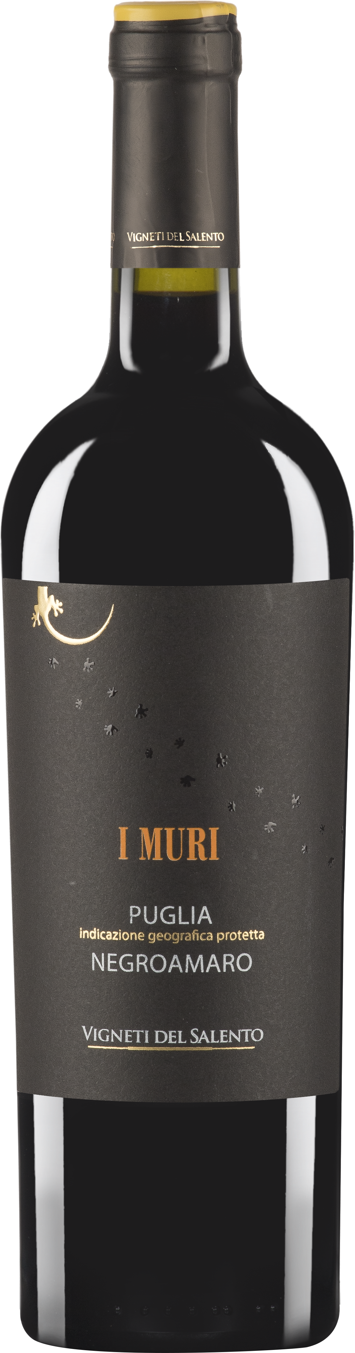 Vigneti del Salento, `I Muri` Negroamaro