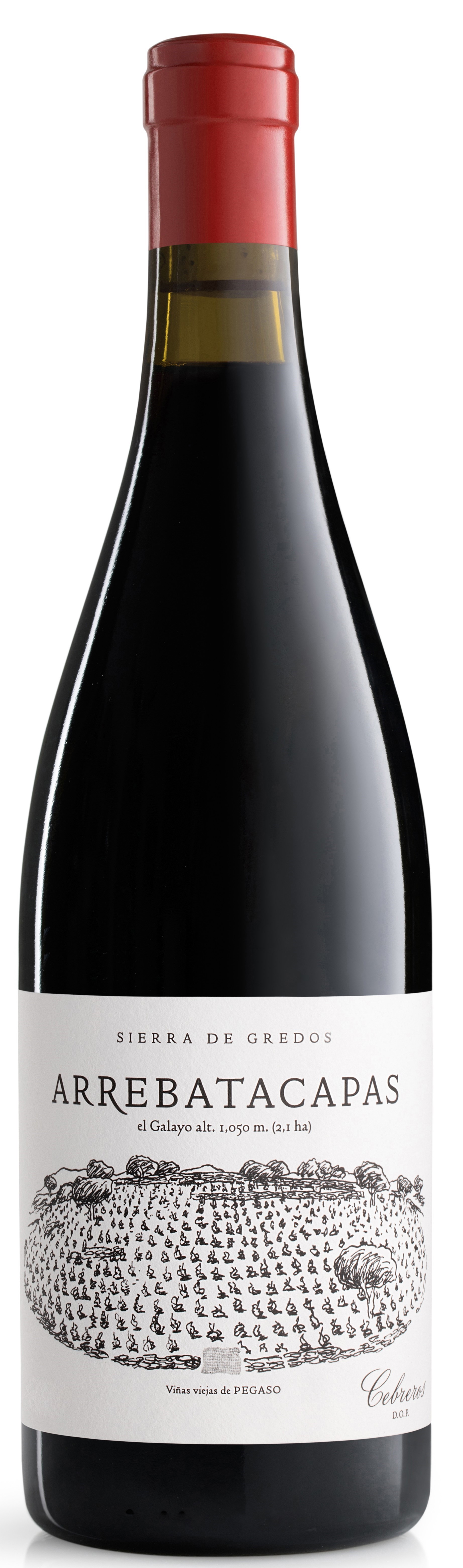 Pegaso, `Arrebatacapas` Cebreros Garnacha